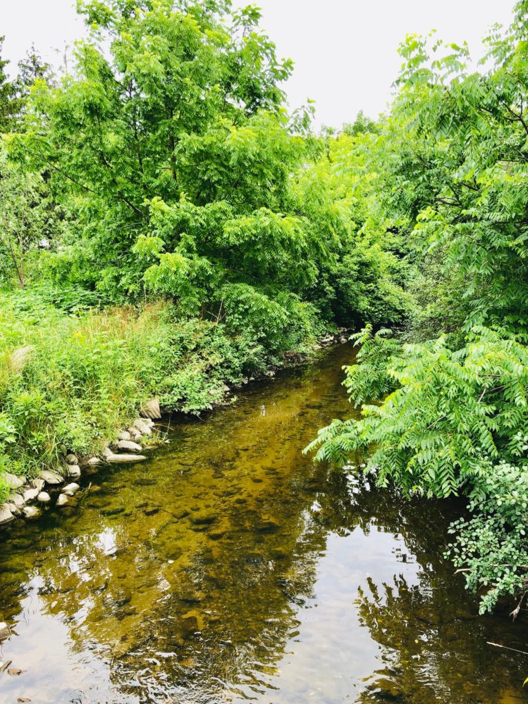 A river in Kiwanis park