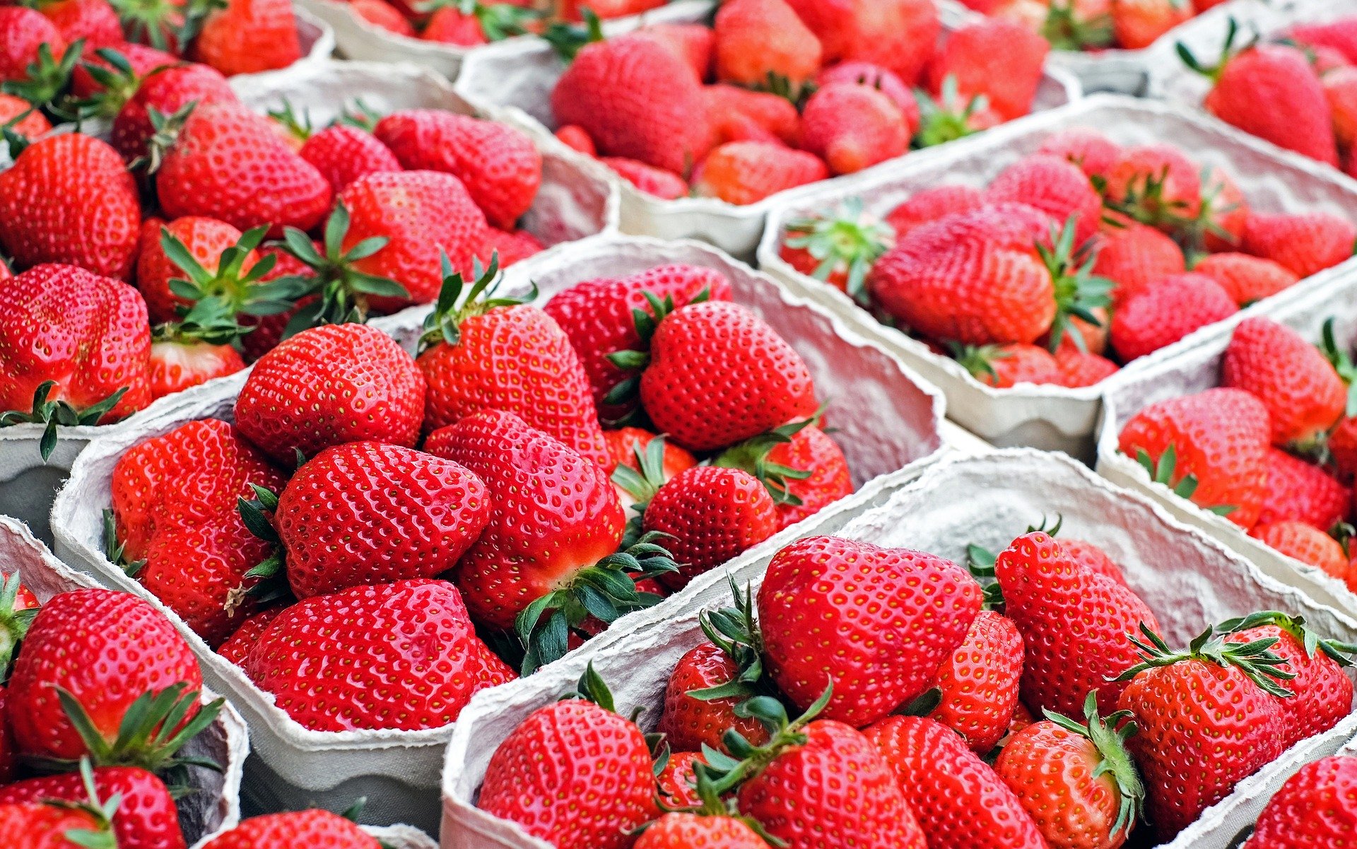 cartons of Ontario Strawberries